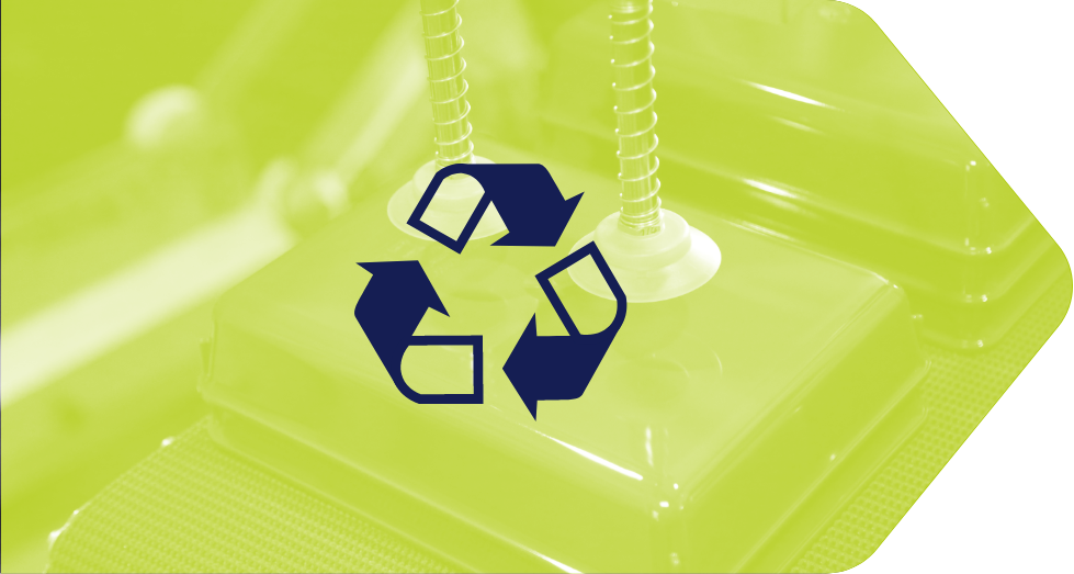 Recycling Thekenschalen